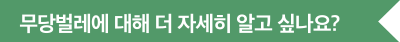 무당벌레에 대해 더 자세히 알고 싶나요?